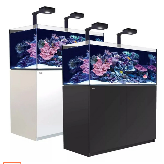Two aquariums with coral and fish on a white background reefer 425 with reef led lighting white and black stand