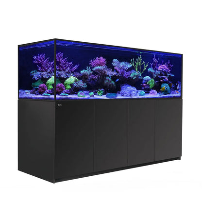 Large aquarium with colorful coral and fish on a white background