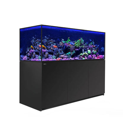 Aquarium full of colorful fish and coral on a black stand on a white background