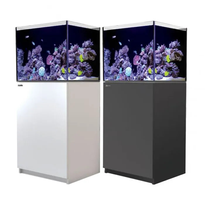 Two aquariums with coral and fish on white stands, one white and one black.