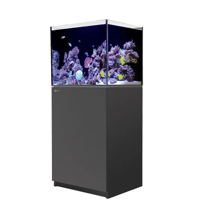 Aquarium with coral and fish on a white background