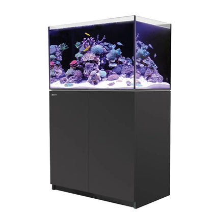 Aquarium with coral and fish on a white background