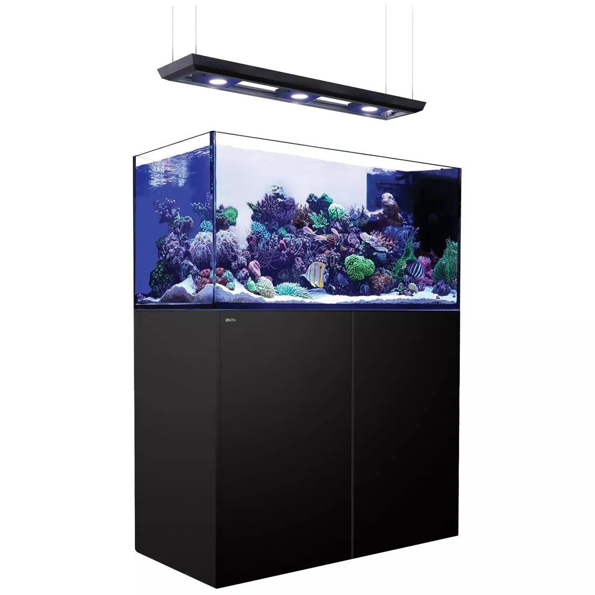 Aquarium with coral and a black stand on a white background