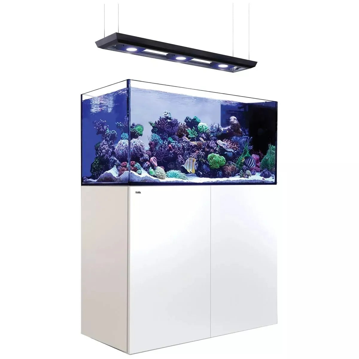 Aquarium with coral and a light fixture on a white background