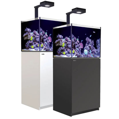 Reef aquarium setup with LED lights on a white background