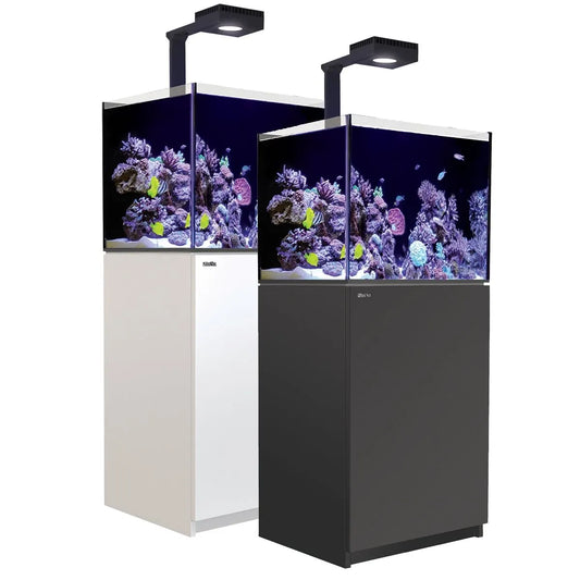 Reef aquarium setup with LED lights on a white background