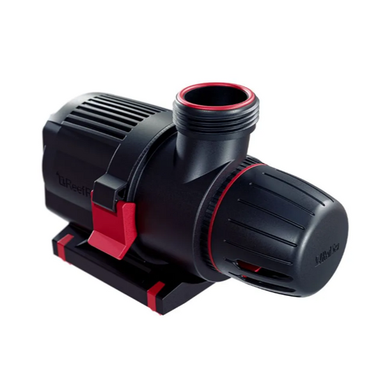 Black and red pump on a white background Red sea Reef Run 4000 return pump
