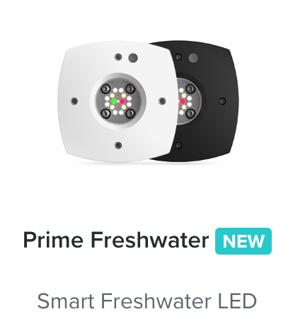 AI Prime 16 HD Freshwater Black