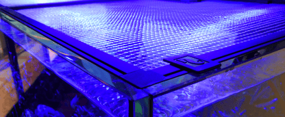 A blue net screen placed on top of an aquarium, illuminating the tank with a blue light.